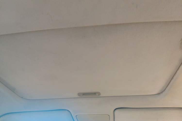 Used BYD G6 2011 2.0L Manual Luxury Version Headliner