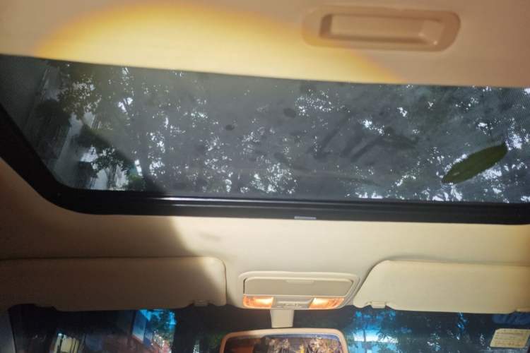 Used BYD G6 2012 1.5T Automatic Prestige Edition Headliner
