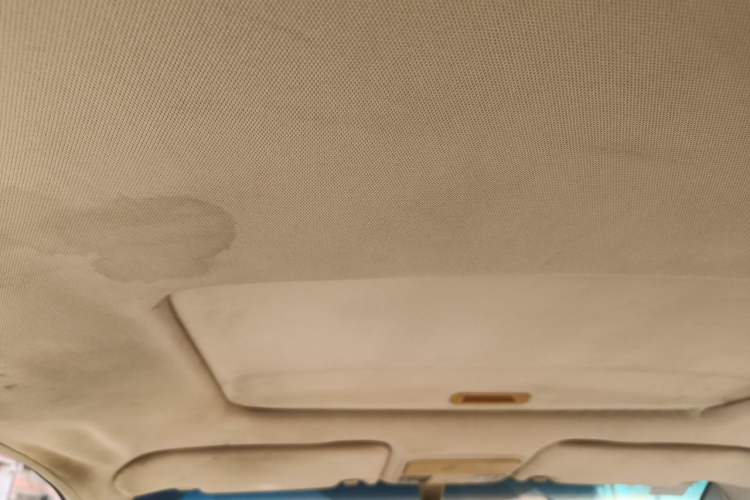 Used BYD G6 2013 1.5TI Manual Luxury Model Headliner