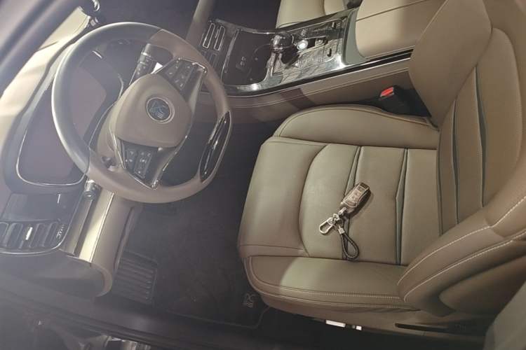 Used BYD Han 2020 DM Four-Wheel Drive Performance Edition Luxury Model Driver Seat