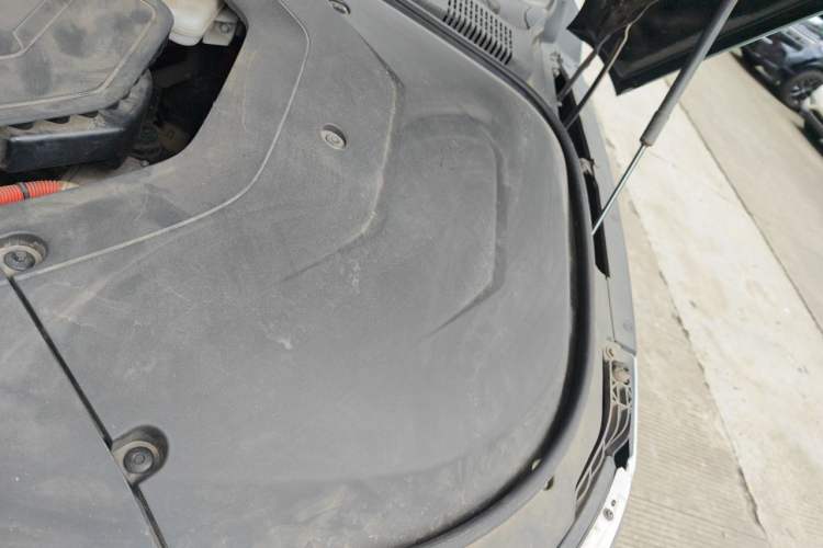 Used BYD Han 2020 DM Four-Wheel Drive Performance Edition Prestige Model Engine Bay Left