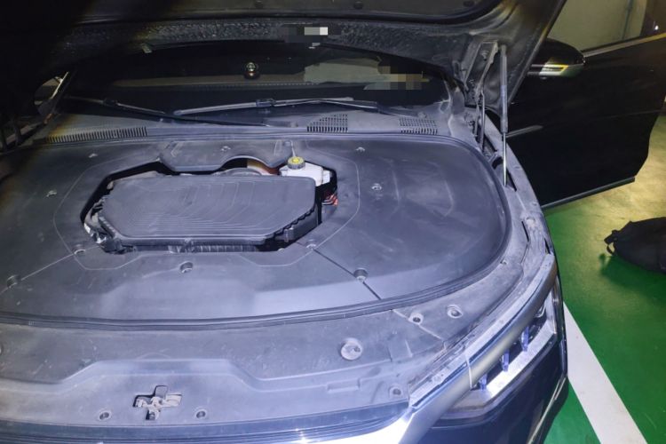 Used BYD Han 2020 DM Four-Wheel Drive Performance Edition Luxury Model Engine Bay Left