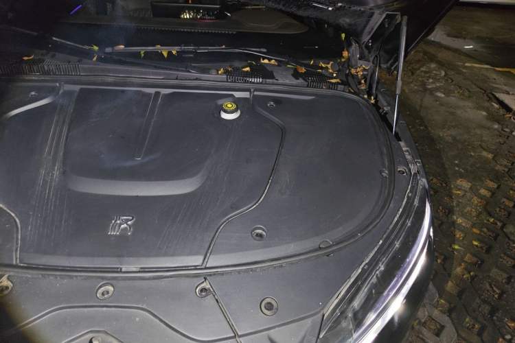 Used BYD Han 2020 EV Long-Range Deluxe Model Engine Bay Left