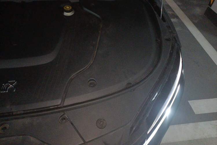 Used BYD Han 2020 EV Four-Wheel Drive High-Performance Flagship Model Engine Bay Left