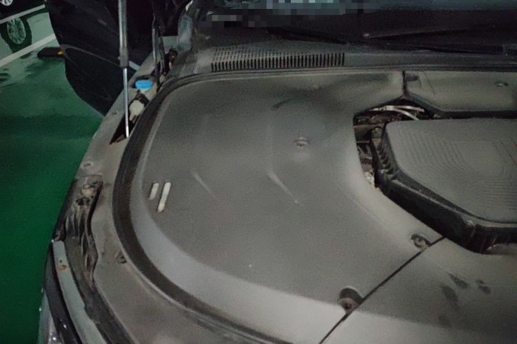 Used BYD Han 2020 DM Four-Wheel Drive Performance Edition Luxury Model Engine Bay Right