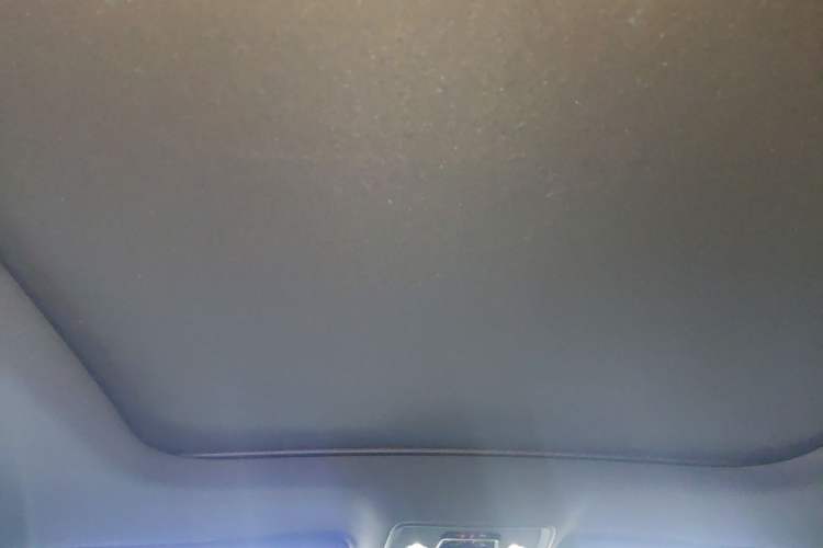Used BYD Han 2020 DM Four-Wheel Drive Performance Edition Luxury Model Headliner