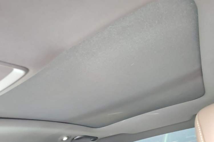 Used BYD Han 2020 DM Four-Wheel Drive Performance Edition Luxury Model Headliner