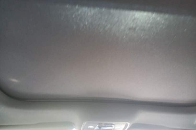 Used BYD Han 2020 DM Four-Wheel Drive Performance Edition Luxury Model Headliner