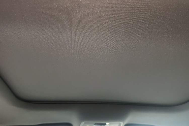 Used BYD Han 2020 DM Four-Wheel Drive Performance Edition Prestige Model Headliner