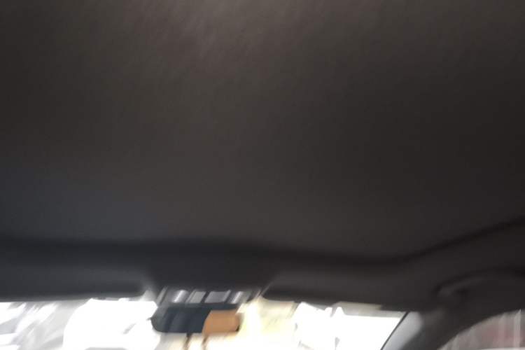 Used BYD Han 2020 EV Long-Range Deluxe Model Headliner