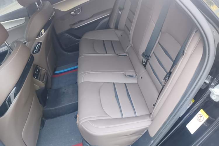 Used BYD Han 2020 DM Four-Wheel Drive Performance Edition Luxury Model Left Rear Seat