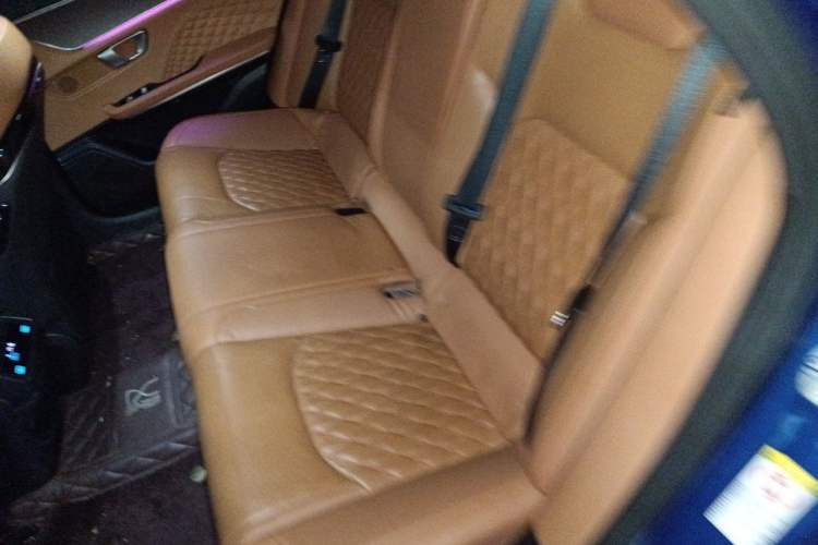Used BYD Han 2020 EV Four-Wheel Drive High-Performance Flagship Model Left Rear Seat