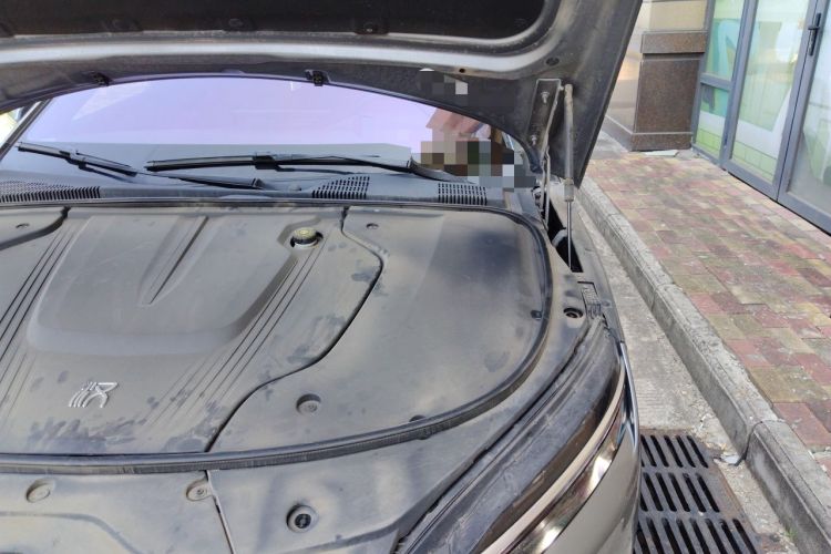 Used BYD Han 2020 EV Four-Wheel Drive High-Performance Flagship Model Engine Bay Left