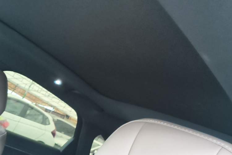 Used BYD Han 2020 EV Four-Wheel Drive High-Performance Flagship Model Headliner