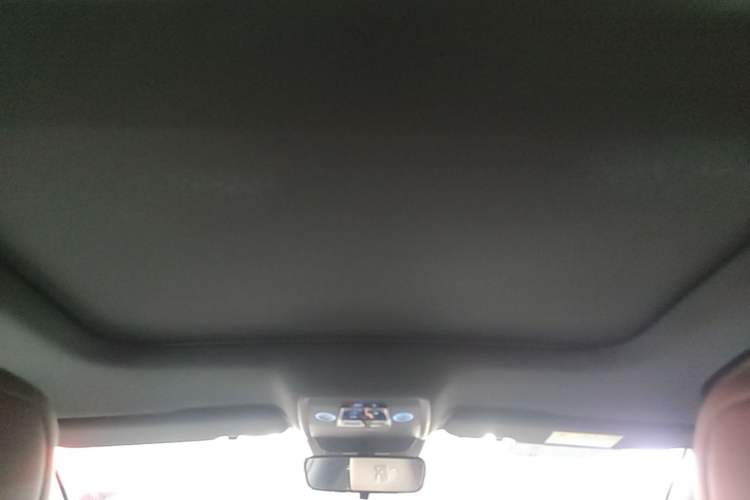 Used BYD Han 2020 DM Four-Wheel Drive Performance Edition Luxury Model Headliner