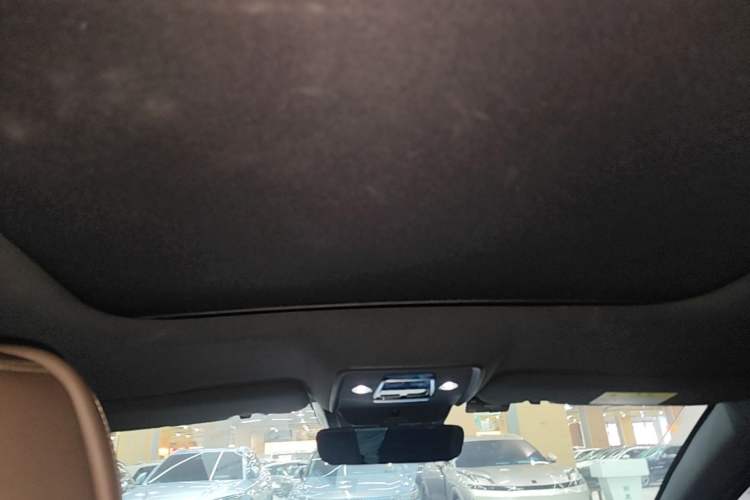 Used BYD Han 2020 DM Four-Wheel Drive Performance Edition Prestige Model Headliner