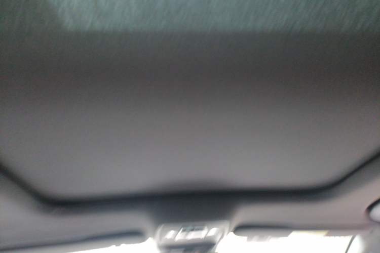 Used BYD Han 2020 DM Four-Wheel Drive Performance Edition Luxury Model Headliner