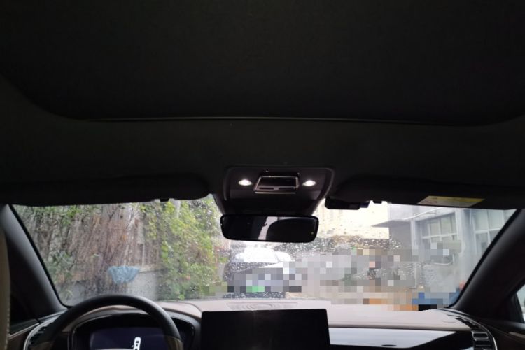 Used BYD Han 2020 DM Four-Wheel Drive Performance Edition Luxury Model Headliner