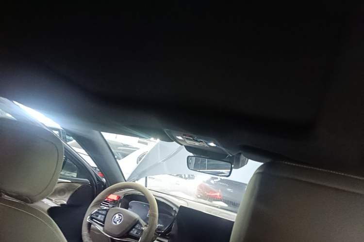 Used BYD Han 2020 DM Four-Wheel Drive Performance Edition Luxury Model Headliner