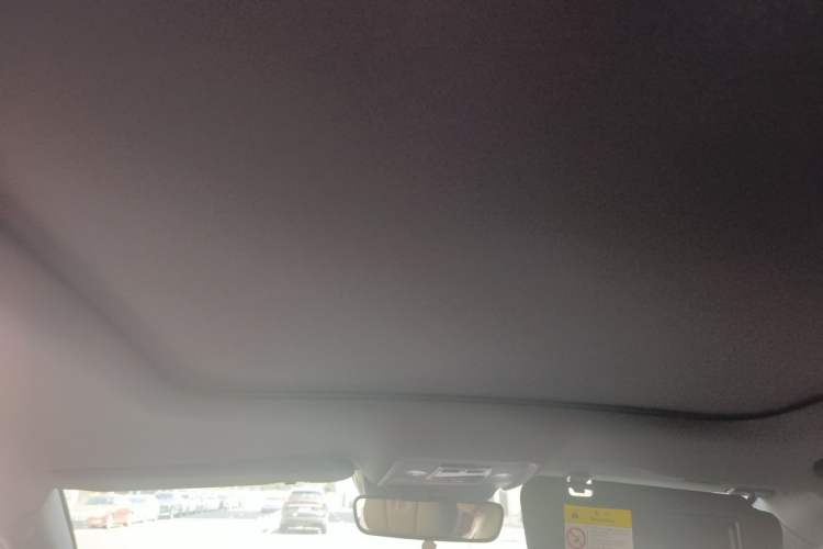 Used BYD Han 2020 DM Four-Wheel Drive Performance Edition Prestige Model Headliner