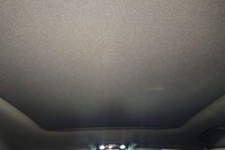 Used BYD Han 2020 DM Four-Wheel Drive Performance Edition Prestige Model Headliner
