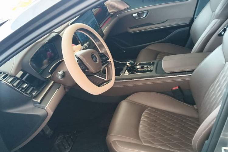 Used BYD Han 2020 EV Four-Wheel Drive High-Performance Flagship Model Left Front Seat