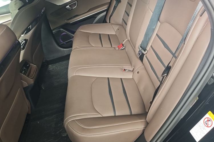 Used BYD Han 2020 EV Long-Range Deluxe Model Left Rear Seat