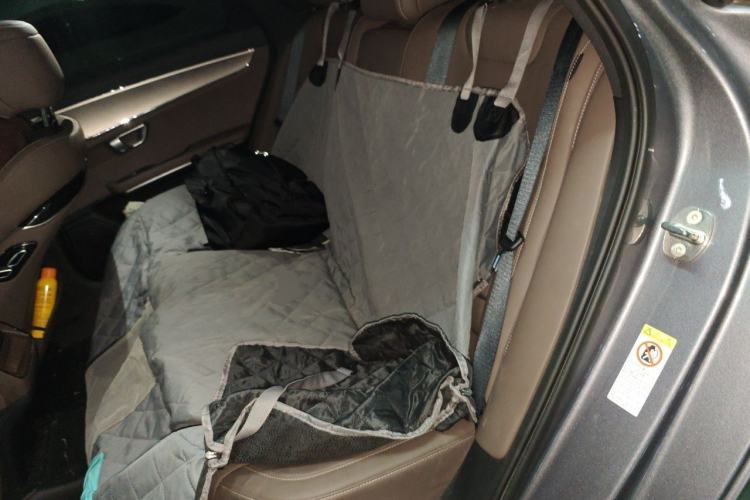 Used BYD Han 2020 DM Four-Wheel Drive Performance Edition Luxury Model Left Rear Seat