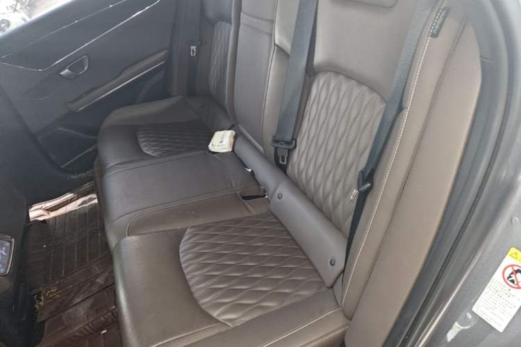 Used BYD Han 2020 EV Long-Range Deluxe Model Left Rear Seat