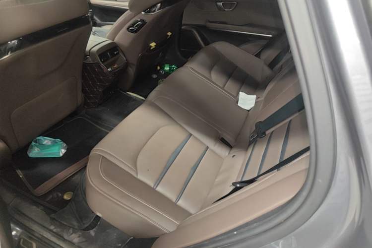 Used BYD Han 2020 EV Long-Range Luxury Model Left Rear Seat