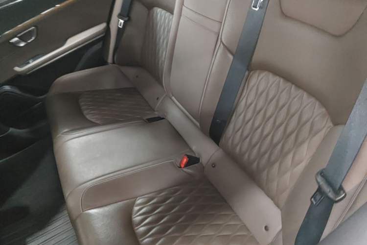 Used BYD Han 2020 DM Four-Wheel Drive Performance Edition Prestige Model Left Rear Seat