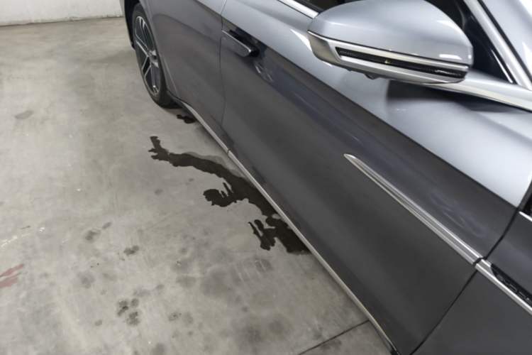 Used BYD Han 2020 EV Long-Range Deluxe Model Right Side Sill