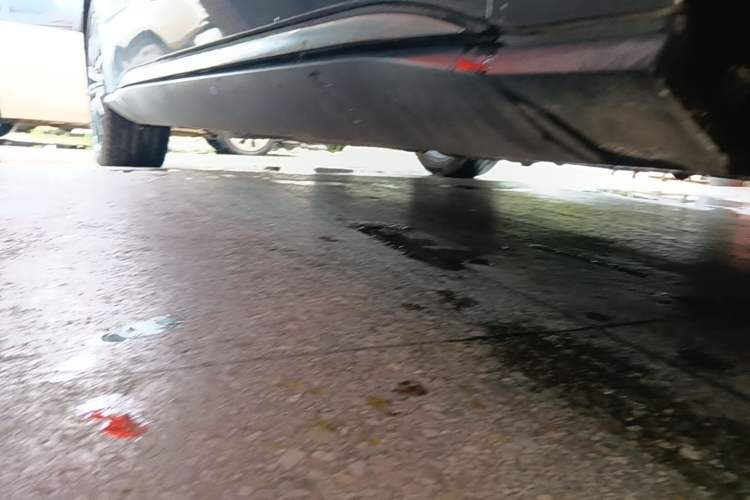 Used BYD Han 2020 DM Four-Wheel Drive Performance Edition Luxury Model Right Side Sill