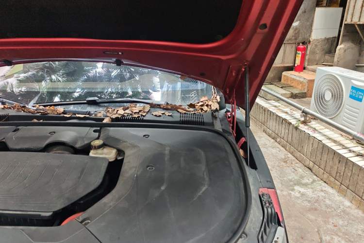 Used BYD Han 2020 DM Four-Wheel Drive Performance Edition Prestige Model Engine Bay Left
