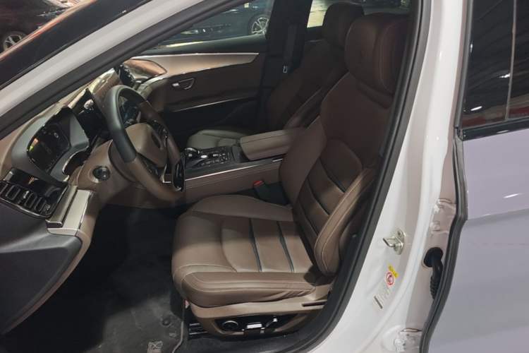Used BYD Han 2020 DM Four-Wheel Drive Performance Edition Luxury Model Left Front Seat