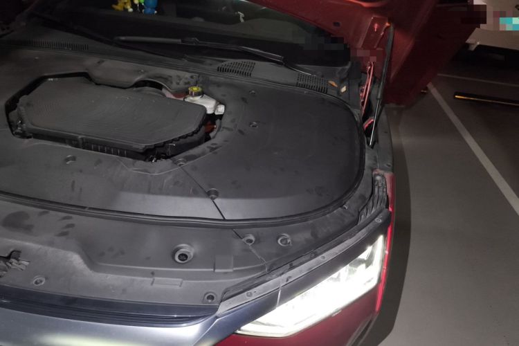Used BYD Han 2020 DM Four-Wheel Drive Performance Edition Prestige Model Engine Bay Left