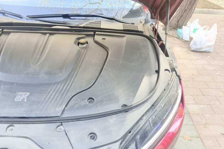 Used BYD Han 2020 EV Four-Wheel Drive High-Performance Flagship Model Engine Bay Left