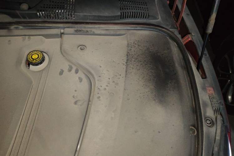 Used BYD Han 2020 EV Four-Wheel Drive High-Performance Flagship Model Engine Bay Left