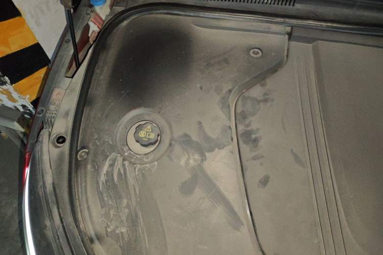 Used BYD Han 2020 EV Four-Wheel Drive High-Performance Flagship Model Engine Bay Right