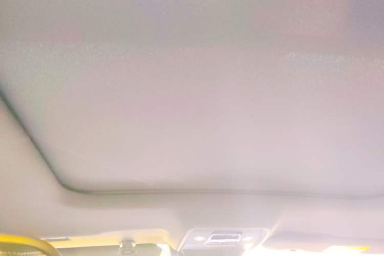 Used BYD Han 2020 EV Long-Range Deluxe Model Headliner