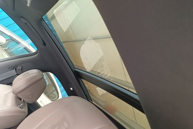 Used BYD Han 2020 DM Four-Wheel Drive Performance Edition Prestige Model Headliner