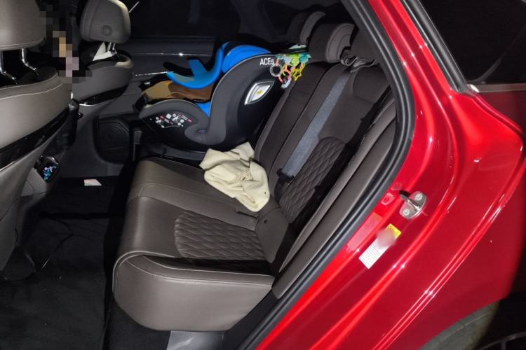 Used BYD Han 2020 DM Four-Wheel Drive Performance Edition Prestige Model Left Rear Seat