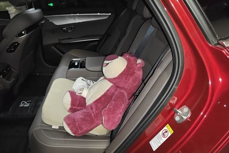 Used BYD Han 2020 DM Four-Wheel Drive Performance Edition Luxury Model Left Rear Seat