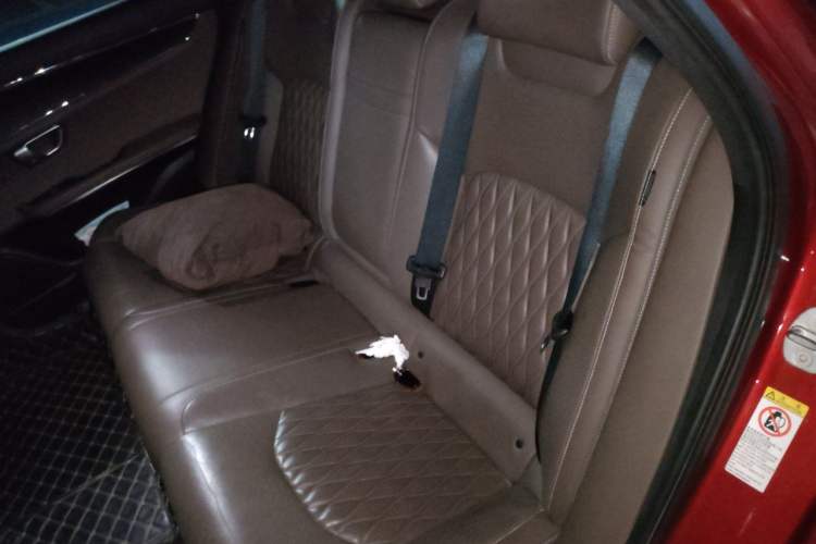Used BYD Han 2020 EV Long-Range Deluxe Model Left Rear Seat