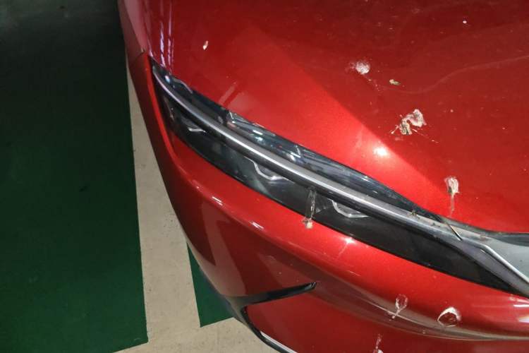 Used BYD Han 2020 EV Long-Range Luxury Model Right Front Headlight