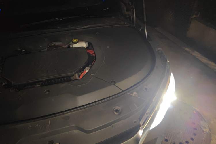 Used BYD Han 2020 DM Four-Wheel Drive Performance Edition Prestige Model Engine Bay Left