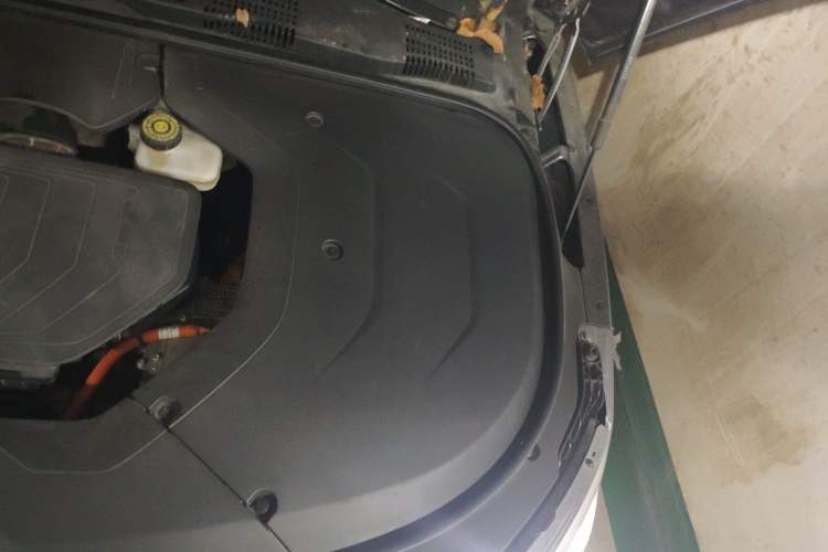 Used BYD Han 2020 DM Four-Wheel Drive Performance Edition Luxury Model Engine Bay Left