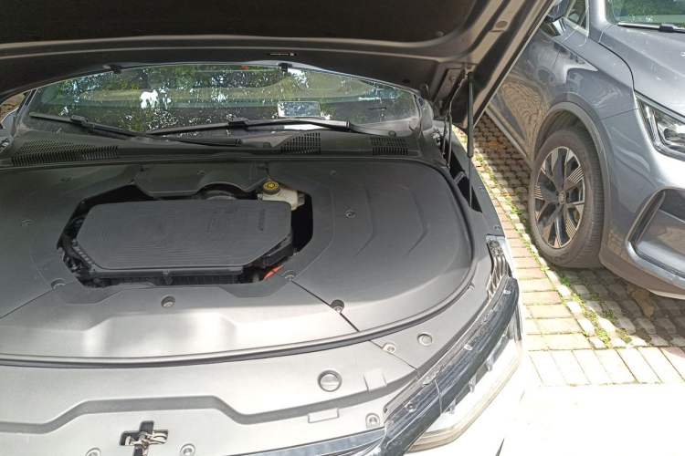 Used BYD Han 2020 DM Four-Wheel Drive Performance Edition Luxury Model Engine Bay Left