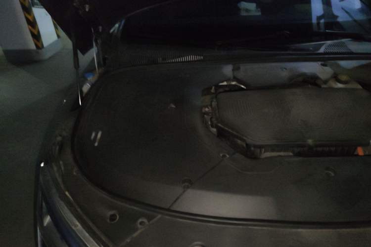 Used BYD Han 2020 DM Four-Wheel Drive Performance Edition Luxury Model Engine Bay Right