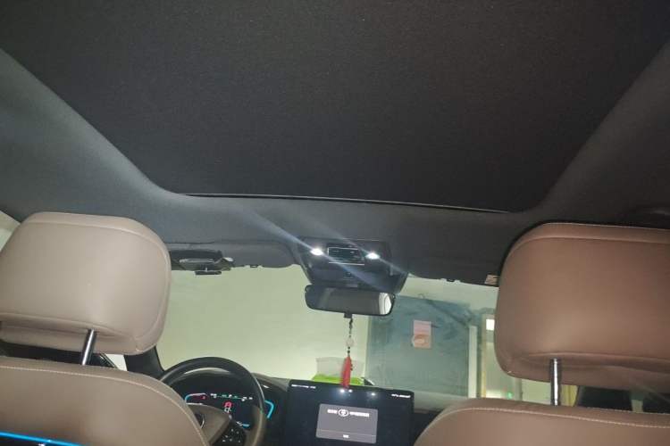 Used BYD Han 2020 DM Four-Wheel Drive Performance Edition Luxury Model Headliner